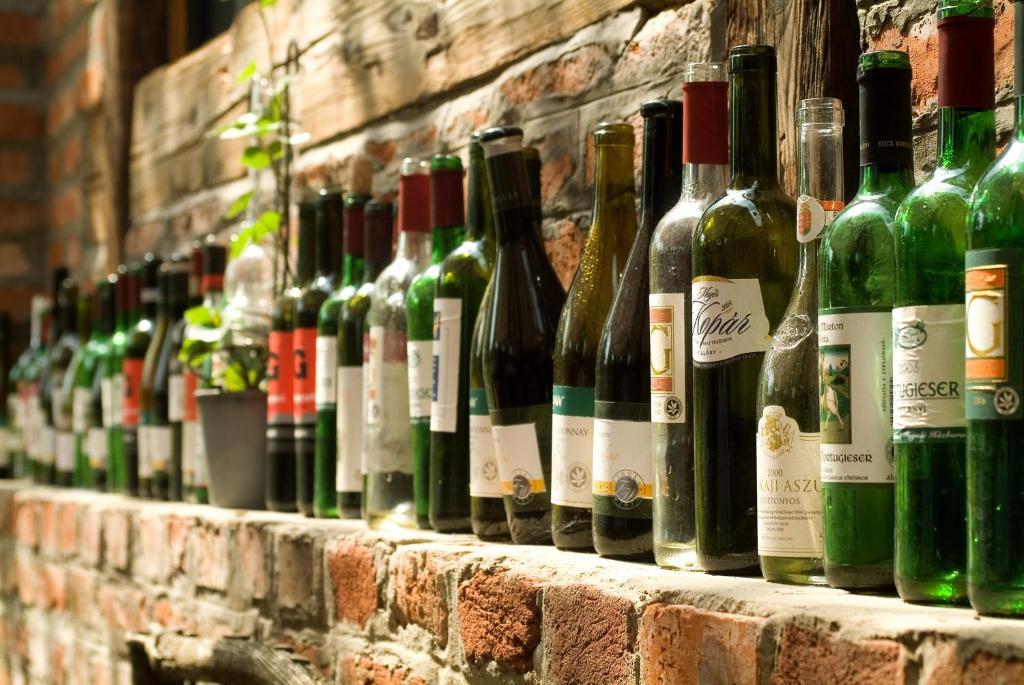 Hotel Vineyard Inn - Szoloskert Nagykanizsa Exteriér fotografie