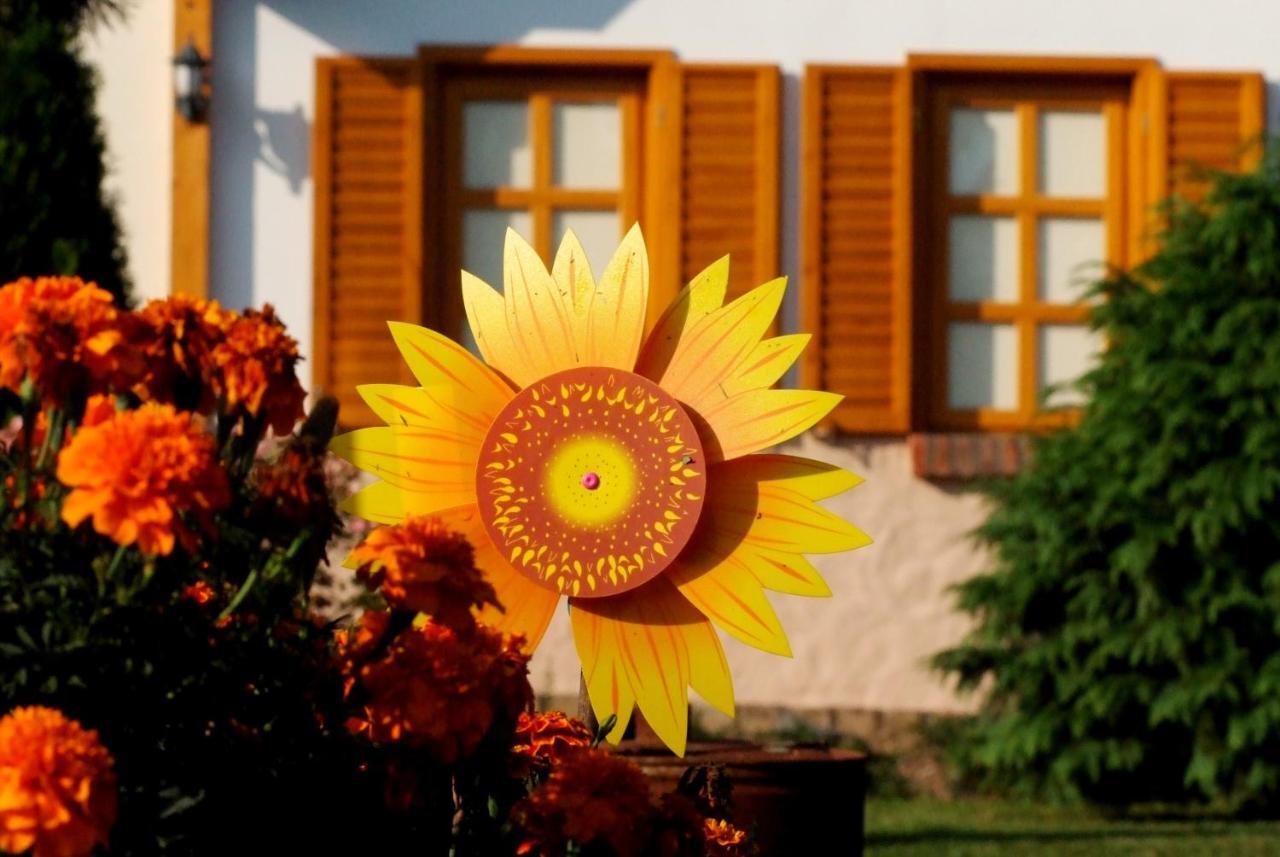 Hotel Vineyard Inn - Szoloskert Nagykanizsa Exteriér fotografie